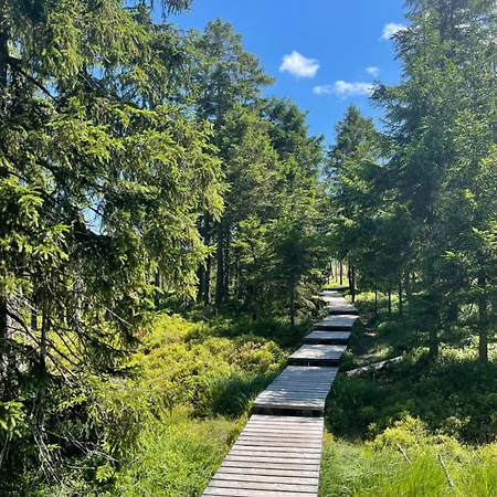 Harz Escape